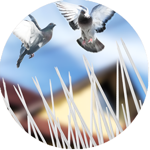 Tear-Resistant UV Protection Shields | Long-Lasting & Durable | AS
								Enterprises Solution | 8051800912 | Vapi, Mumbai